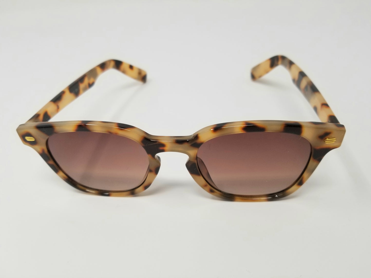 Wayfarer Style Sunglasses